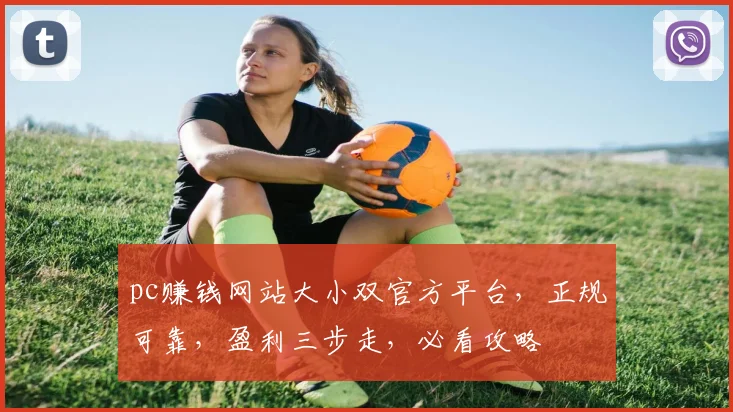 pc赚钱网站大小双官方平台，正规可靠，盈利三步走，必看攻略
