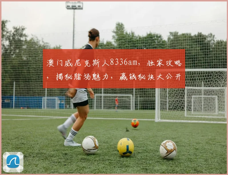 澳门威尼克斯人8336am，独家攻略，揭秘赌场魅力，赢钱秘诀大公开，不容错过