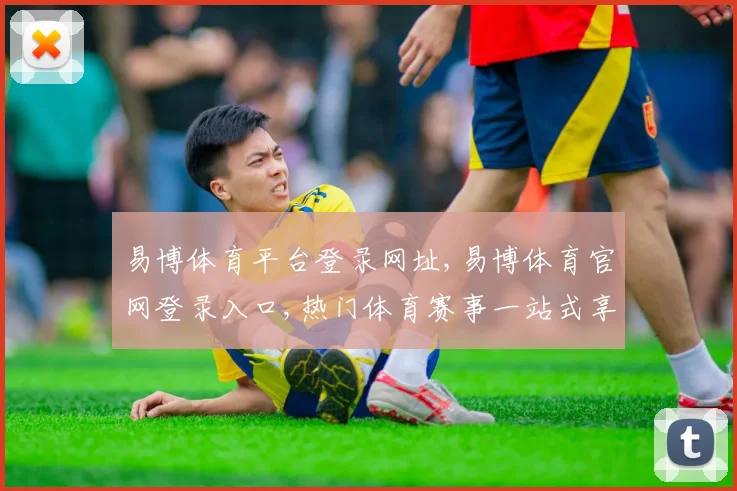 易博体育平台登录网址,易博体育官网登录入口,热门体育赛事一站式享受