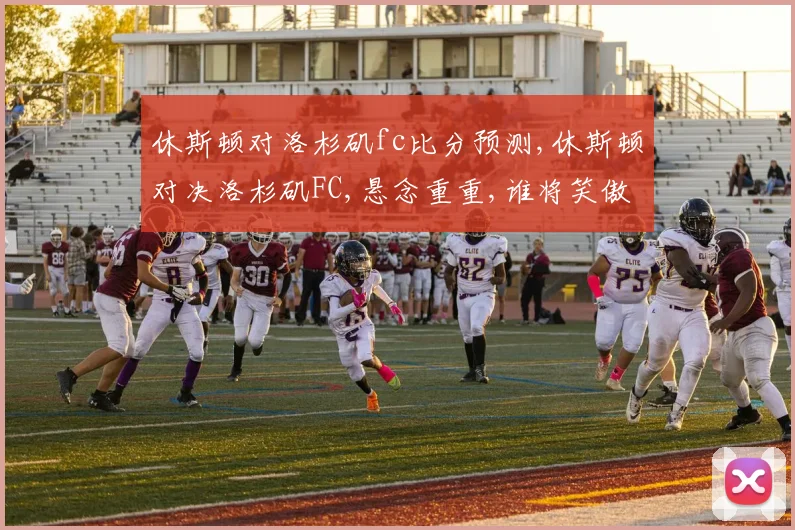 休斯顿对洛杉矶fc比分预测,休斯顿对决洛杉矶FC,悬念重重,谁将笑傲赛场