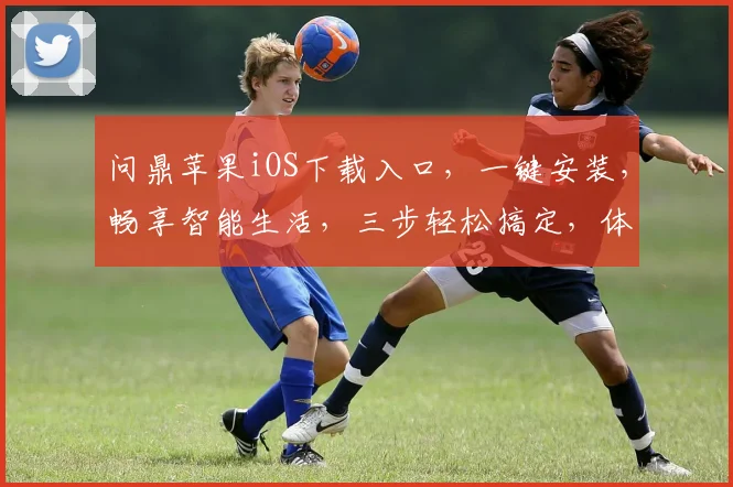 问鼎苹果iOS下载入口，一键安装，畅享智能生活，三步轻松搞定，体验非凡