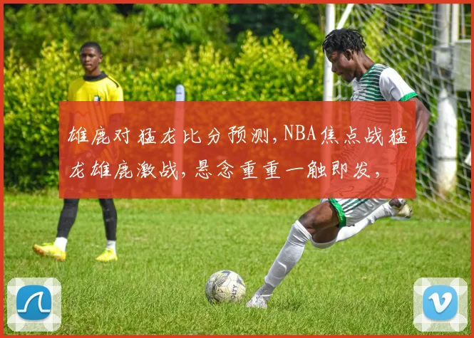 雄鹿对猛龙比分预测,NBA焦点战猛龙雄鹿激战,悬念重重一触即发,