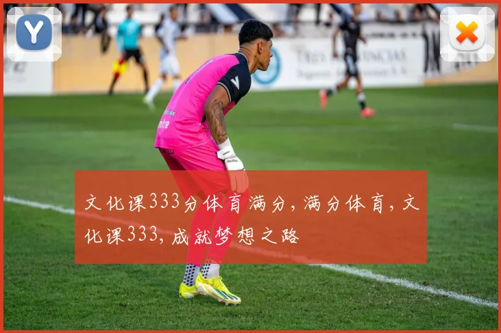 文化课333分体育满分,满分体育,文化课333,成就梦想之路